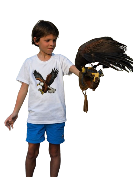 T-shirt Aigle