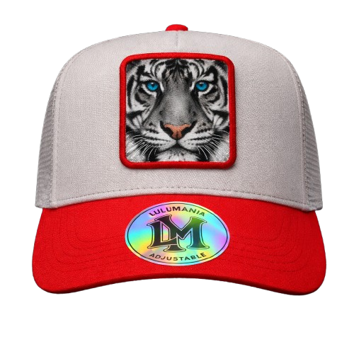 Casquette Tigre