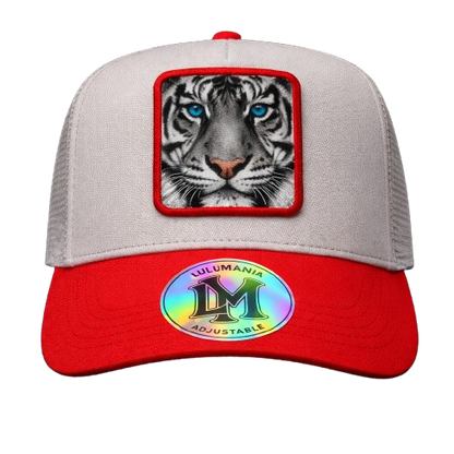 Casquette Tigre