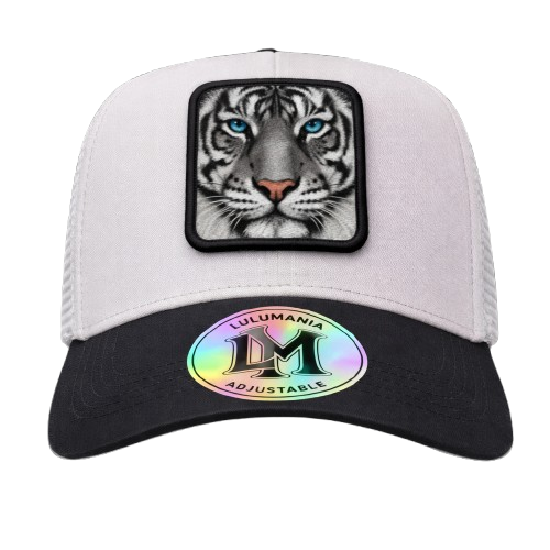 Casquette Tigre