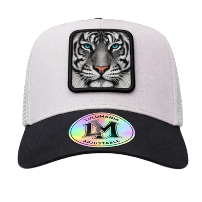 Casquette Tigre