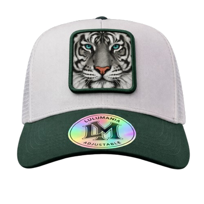 Casquette Tigre