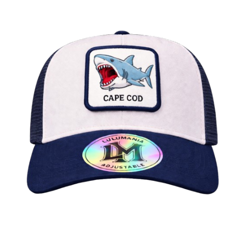 Casquette Requin