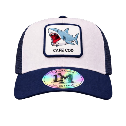 Casquette Requin