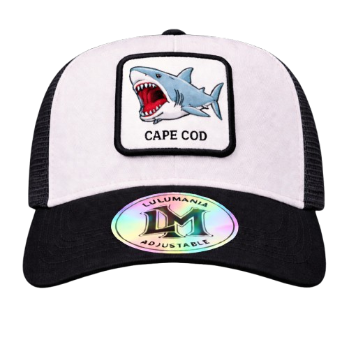 Casquette Requin