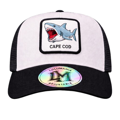 Casquette Requin
