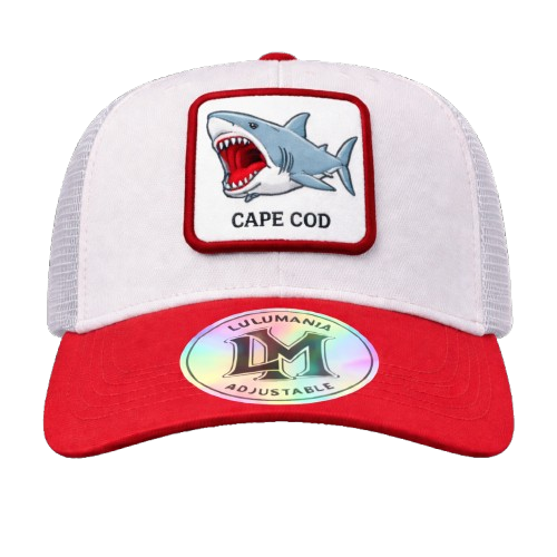 Casquette Requin