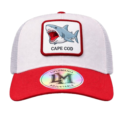 Casquette Requin
