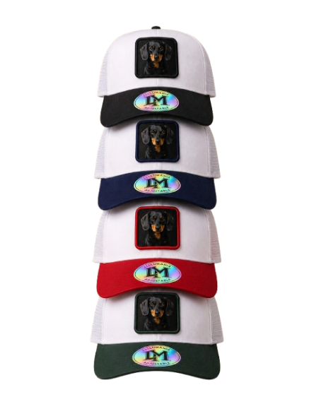 Casquette Teckel