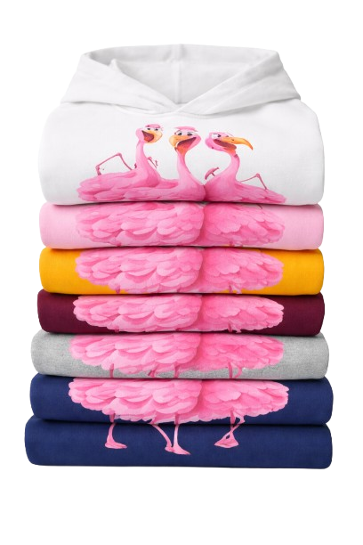 Sweat À Capuche Flamingo Trio