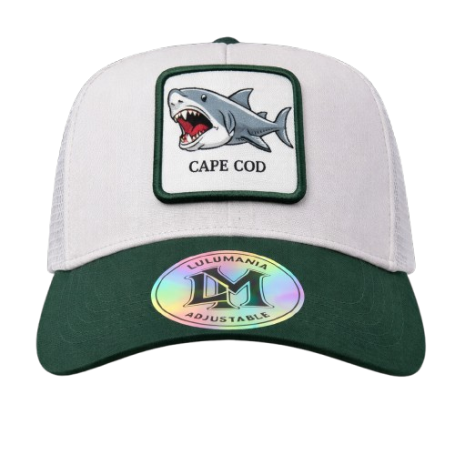 Casquette Requin