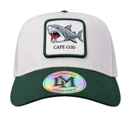 Casquette Requin