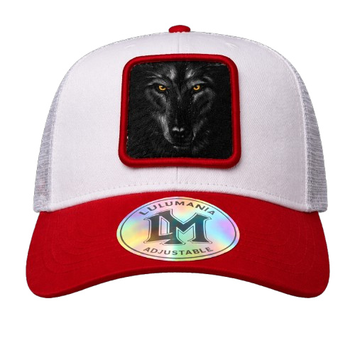 Casquette Loup
