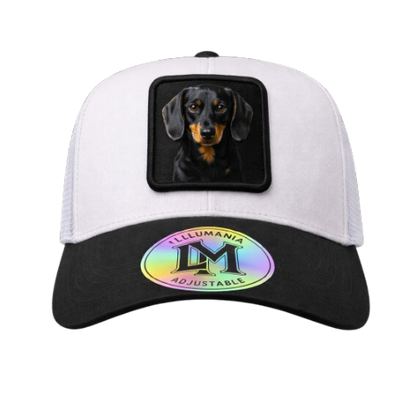 Casquette Teckel