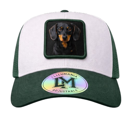 Casquette Teckel