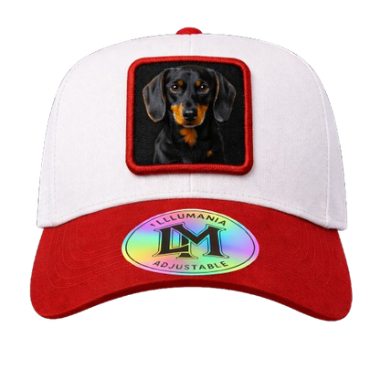 Casquette Teckel