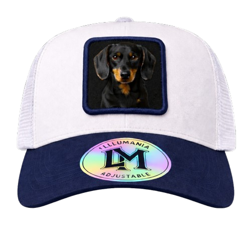 Casquette Teckel