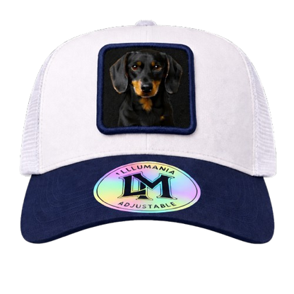 Casquette Teckel