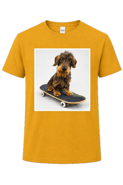 T Shirt Skate
