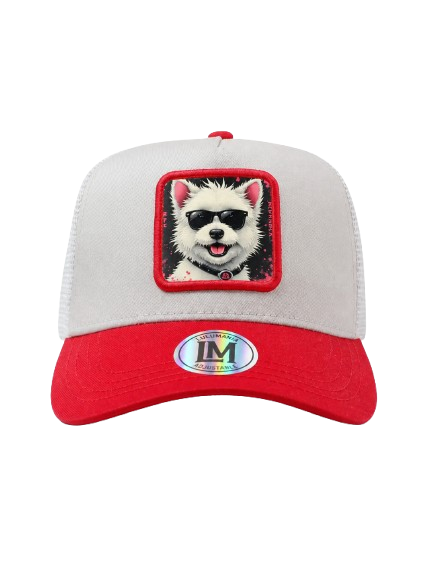 Casquette chien blanc